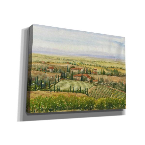 Wine Country View II  by Tim O Toole, Canvas Wall Art Cheap