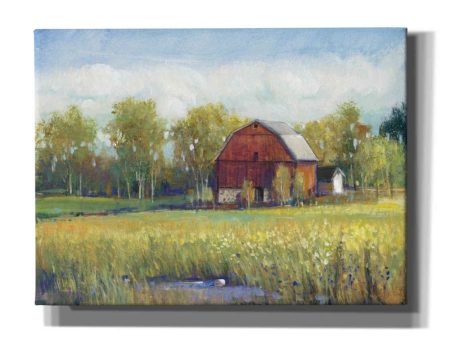 Rural America I  by Tim O Toole, Canvas Wall Art For Cheap