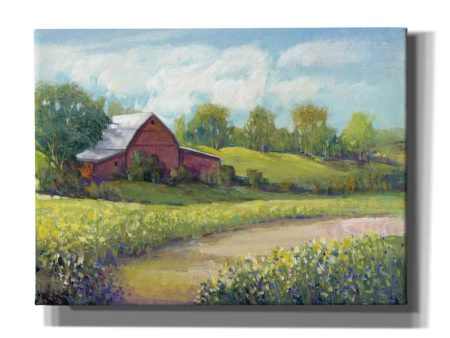 Rural America II  by Tim O Toole, Canvas Wall Art Online now