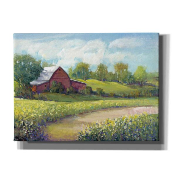 Rural America II  by Tim O Toole, Canvas Wall Art Online now