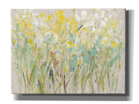 Floral Cluster I  by Tim O Toole, Canvas Wall Art Online Hot Sale