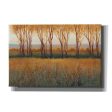 Glow in the Afternoon II  by Tim O Toole, Canvas Wall Art Online Sale