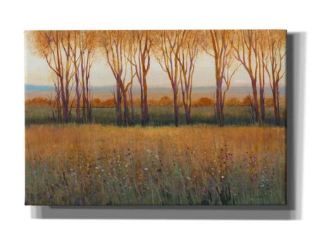 Glow in the Afternoon II  by Tim O Toole, Canvas Wall Art Online Sale