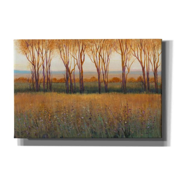 Glow in the Afternoon II  by Tim O Toole, Canvas Wall Art Online Sale