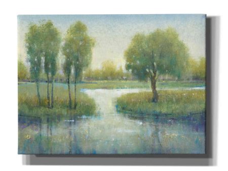 Winding River I  by Tim O Toole, Canvas Wall Art Discount