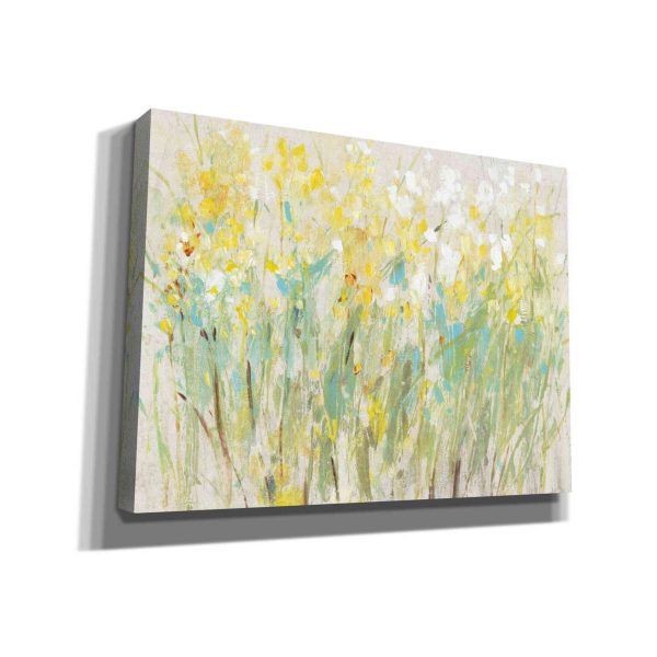 Floral Cluster II  by Tim O Toole, Canvas Wall Art Online Hot Sale