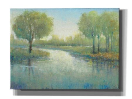 Winding River II  by Tim O Toole, Canvas Wall Art Cheap