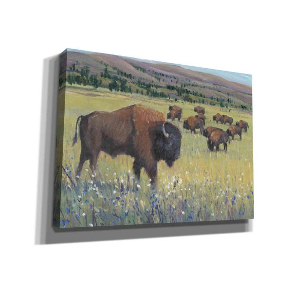 Animals of the West I  by Tim O Toole, Canvas Wall Art Online now