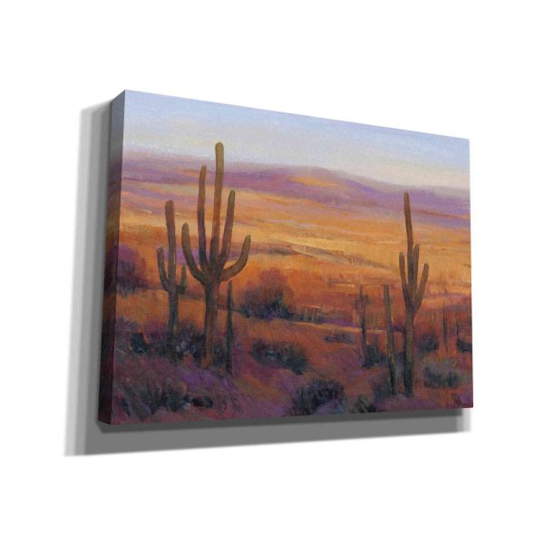 Desert Light II  by Tim O Toole, Canvas Wall Art Discount