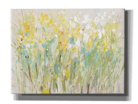 Floral Cluster II  by Tim O Toole, Canvas Wall Art Online Hot Sale