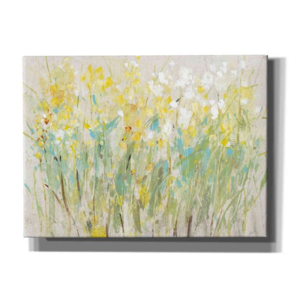 Floral Cluster II  by Tim O Toole, Canvas Wall Art Online Hot Sale