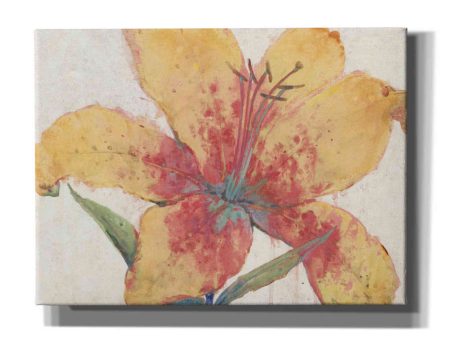 Blooming Lily  by Tim O Toole, Canvas Wall Art Fashion