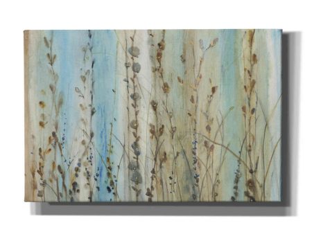 Ombre Floral I  by Tim O Toole, Canvas Wall Art Online