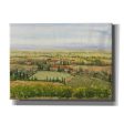 Wine Country View II  by Tim O Toole, Canvas Wall Art Cheap