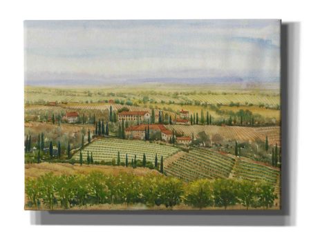 Wine Country View II  by Tim O Toole, Canvas Wall Art Cheap