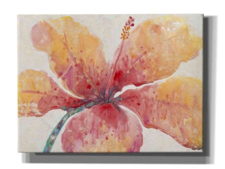 Blooming Hibiscus  by Tim O Toole, Canvas Wall Art Online