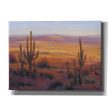 Desert Light II  by Tim O Toole, Canvas Wall Art Discount