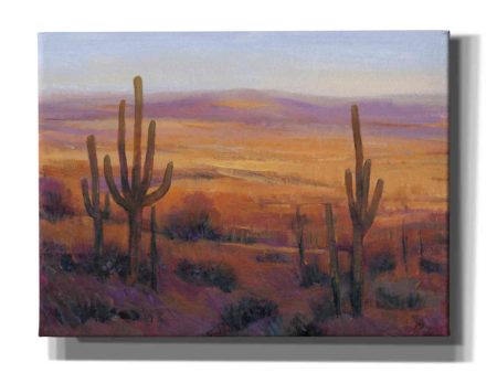 Desert Light II  by Tim O Toole, Canvas Wall Art Discount