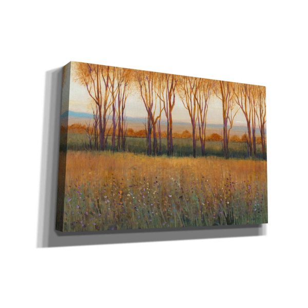 Glow in the Afternoon II  by Tim O Toole, Canvas Wall Art Online Sale