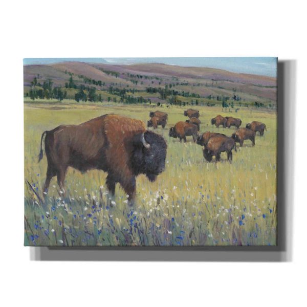 Animals of the West I  by Tim O Toole, Canvas Wall Art Online now