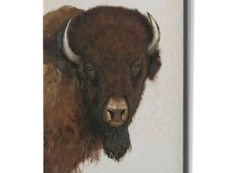 Western Portrait II  by Tim O Toole, Canvas Wall Art Cheap