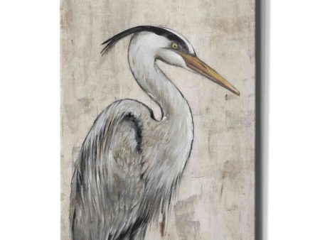 Grey Heron I  by Tim O Toole, Canvas Wall Art Online now