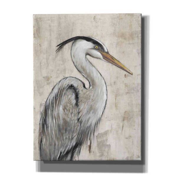 Grey Heron I  by Tim O Toole, Canvas Wall Art Online now