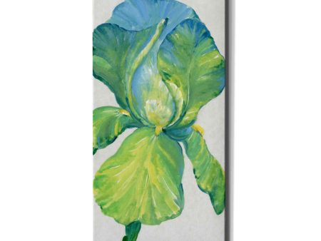 Iris Bloom in Green II  by Tim O Toole, Canvas Wall Art For Discount