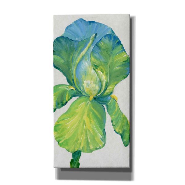 Iris Bloom in Green II  by Tim O Toole, Canvas Wall Art For Discount