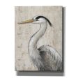 Grey Heron II  by Tim O Toole, Canvas Wall Art Fashion