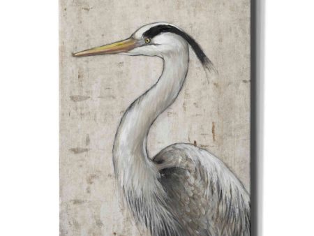 Grey Heron II  by Tim O Toole, Canvas Wall Art Fashion