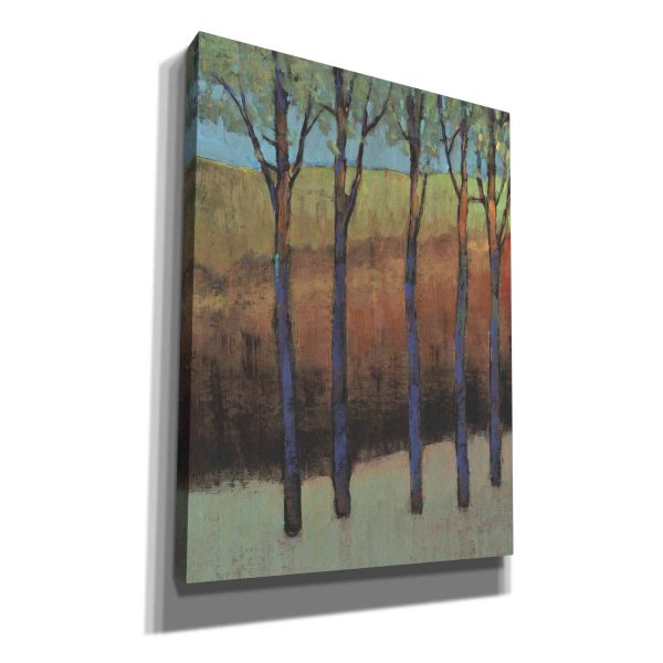 Glimmer in the Forest II  by Tim O Toole, Canvas Wall Art Discount