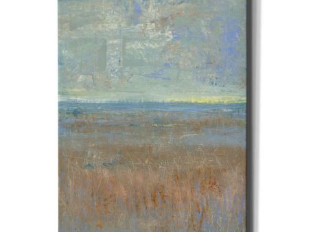 Evening Marsh I  by Tim O Toole, Canvas Wall Art Online now