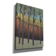 Glimmer in the Forest I  by Tim O Toole, Canvas Wall Art For Discount