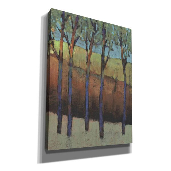 Glimmer in the Forest I  by Tim O Toole, Canvas Wall Art For Discount