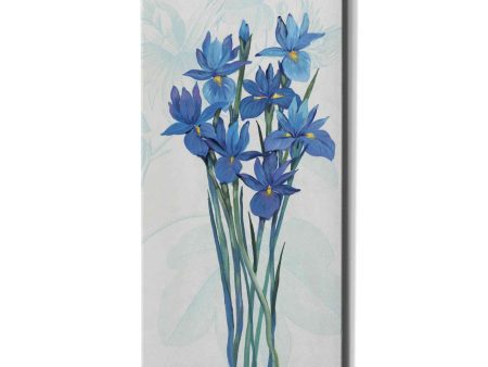 Blue Iris Panel II  by Tim O Toole, Canvas Wall Art Sale