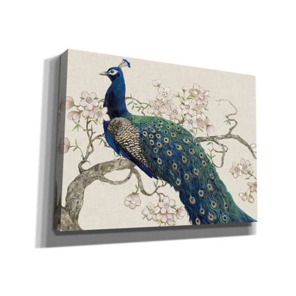 Peacock & Blossoms II  by Tim O Toole, Canvas Wall Art Online