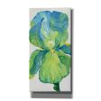 Iris Bloom in Green I  by Tim O Toole, Canvas Wall Art For Discount