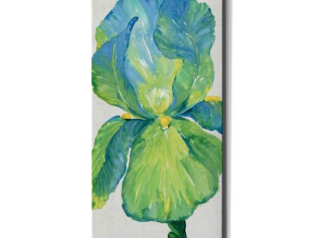 Iris Bloom in Green I  by Tim O Toole, Canvas Wall Art For Discount