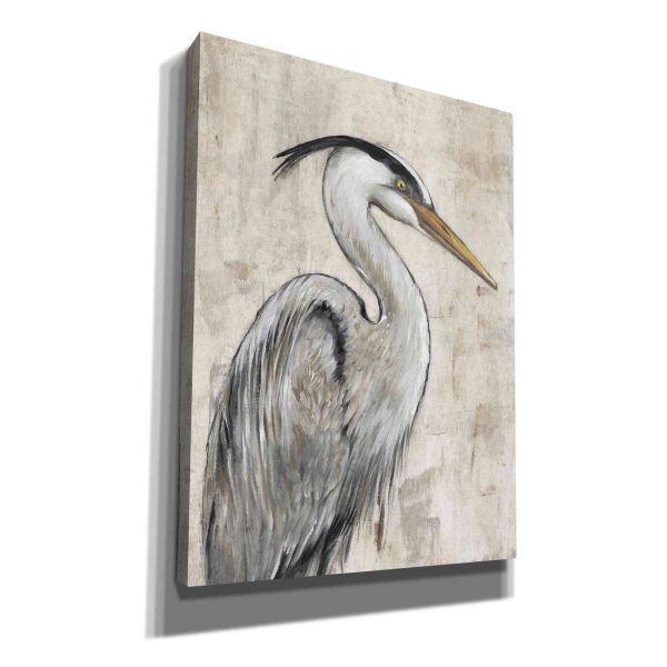 Grey Heron I  by Tim O Toole, Canvas Wall Art Online now