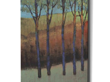 Glimmer in the Forest II  by Tim O Toole, Canvas Wall Art Discount