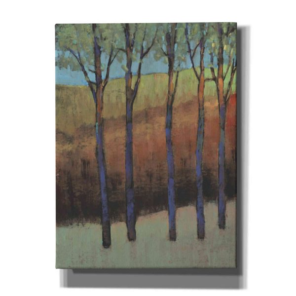 Glimmer in the Forest II  by Tim O Toole, Canvas Wall Art Discount