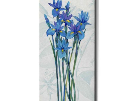 Blue Iris Panel I  by Tim O Toole, Canvas Wall Art For Sale