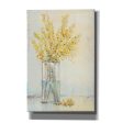 Yellow Spray in Vase II  by Tim O Toole, Canvas Wall Art For Sale