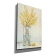 Yellow Spray in Vase II  by Tim O Toole, Canvas Wall Art For Sale