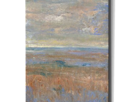 Evening Marsh II  by Tim O Toole, Canvas Wall Art Online Sale