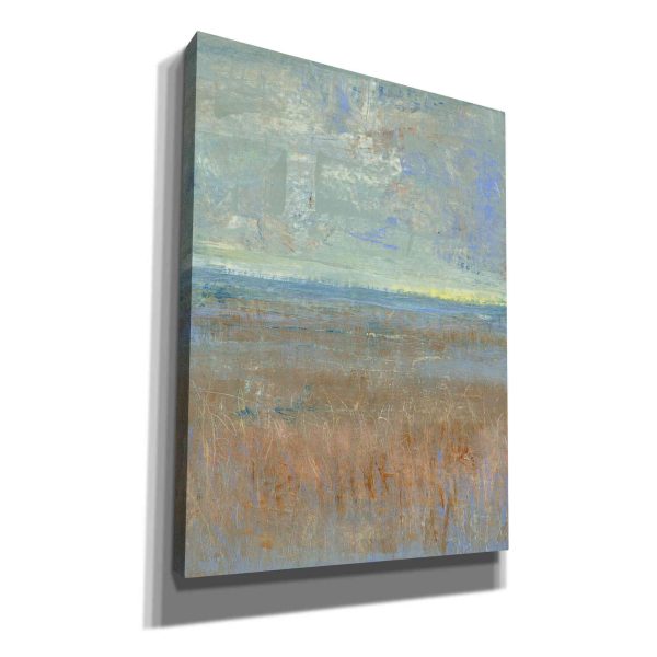 Evening Marsh I  by Tim O Toole, Canvas Wall Art Online now