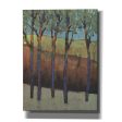 Glimmer in the Forest I  by Tim O Toole, Canvas Wall Art For Discount