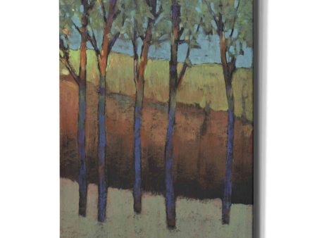 Glimmer in the Forest I  by Tim O Toole, Canvas Wall Art For Discount