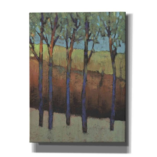 Glimmer in the Forest I  by Tim O Toole, Canvas Wall Art For Discount